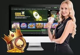 bet377 login